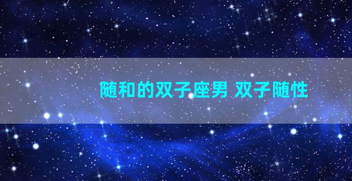 随和的双子座男 双子随性